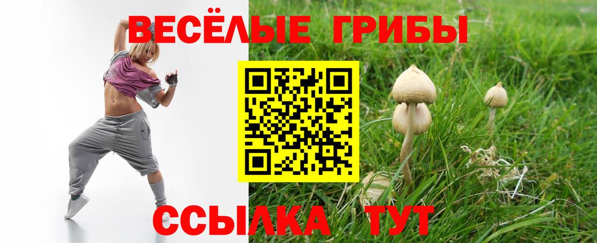 Торжок  Галлюциногенные грибы Magic Shrooms  Вход с VPN 